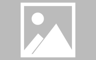 馆陶网页设计实训心得（网页设计实训心得感悟）